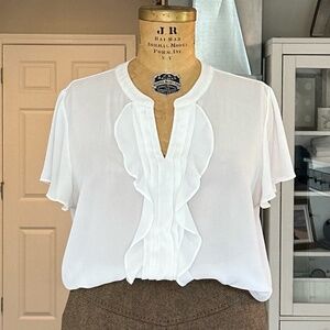 NWOT Banana Republic sheer blouse sz XL